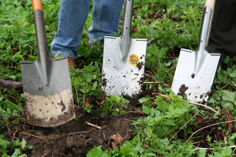 pepiniere-VENANSON-min_work-lawn-flower-tool-green-backyard-1103633-pxhere.com